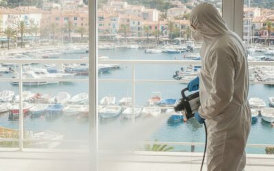 Désinfection nuisibles à Sainte-Maxime : le guide pratique pour protéger son habitat